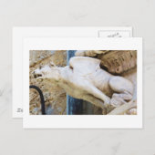 Gotische Gargoyle-Statue - ca. 1340 Postkarte (Vorne/Hinten)