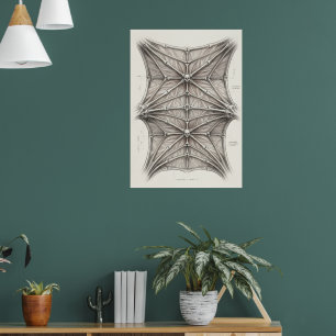 Gotische Kathedrale Gewölbte Deckenarchitektur Fei Poster