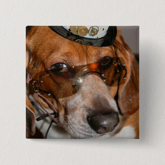 Gotischer Beagle Steampunk Hundknopf Button (Vorderseite)