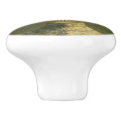 Gotischer Edwardian Skeleton Keramik-Griff Keramikknauf (Seitenansicht)