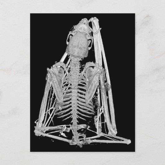 Gotisches Schläger-Skelett Postkarte (Vorderseite)