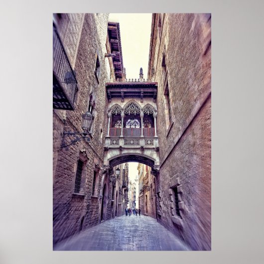 Gotisches Viertel in Barcelona, Spanien Poster (Vorne)