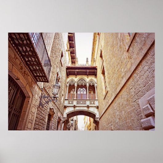 Gotisches Viertel in Barcelona, Spanien Poster (Vorne)