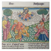 Gott 13-22 des Exodus-16 stellt Wachteln und Manna Fliese (Vorderseite)