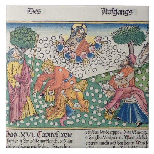 Gott 13-22 des Exodus-16 stellt Wachteln und Manna Fliese (Vorderseite)