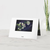 Gott der Hoffnung Frühlingsblumen Ostern Feiertagskarte (Rückseite)