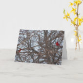 Gott erschaffen Schönheit, Kardinäle Karte (Gelbe Blume)