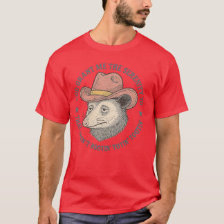 GOTT GEBE MIR DIE RUHE, DIE VIBRATIONEN ZU AKZEPTI T-Shirt