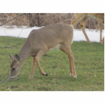 Gott-Hände Freistehende Fotoskulptur<br><div class="desc">Ein Rotwild,  das auf Gras füttert</div>