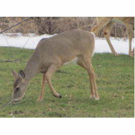Gott-Hände Freistehende Fotoskulptur