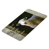 Gott ist gut Schafe Magnet (Linke Seite)