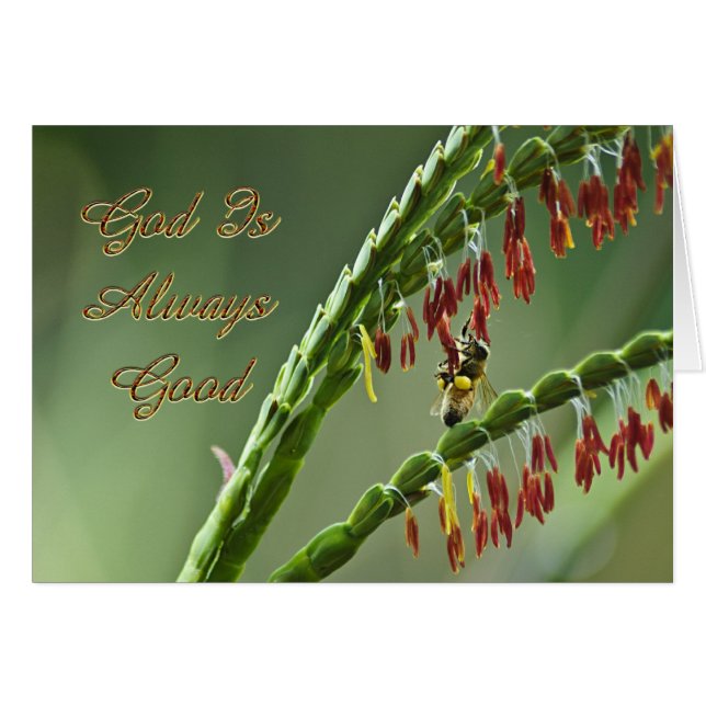 Gott ist gute Biene (Vorderseite (Horizontal))