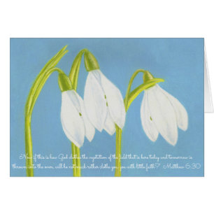 Gott kleidet Vegetation Field~Scripture~SnowDrops