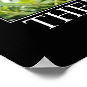 Gott Made Cats Artwork Poster (Ecke)