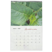 Gott-Meditationskalender Gartenbilder Kalender (Mär 2027)