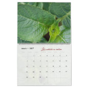 Gott-Meditationskalender Gartenbilder Kalender (Mär 2027)