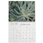 Gott-Meditationskalender Gartenbilder Kalender (Jan 2026)