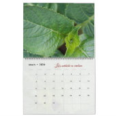 Gott-Meditationskalender Gartenbilder Kalender (Mär 2026)