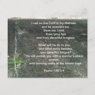 Gott schützt dich vor Lügnern Postkarte