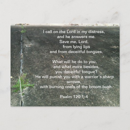 Gott schützt dich vor Lügnern Postkarte (Vorderseite)