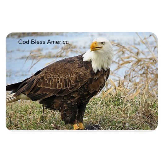 "Gott segne Amerika" Bald Adler auf Flex. 4x6-Magn Magnet (Horizontal)