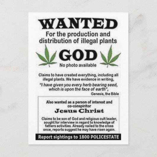 Gott wollte Poster Postkarte (Vorderseite)