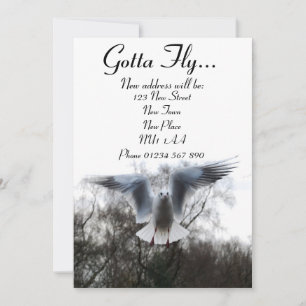 Gotta Fly - Neue Adresskarten Ankündigung