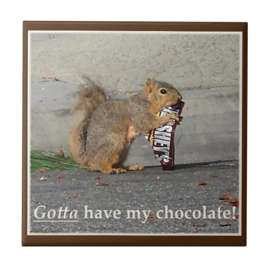 Gotta haben meine schokoladendekorative Fliese (Vorderseite)