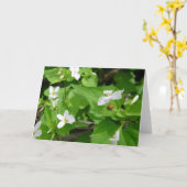 Gotta Liebe Ladybugs (3) Grußkarte Karte (Gelbe Blume)