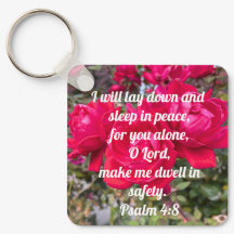 Gottes Friedenspsalm 4:8 Bibelverse-Rote Rose