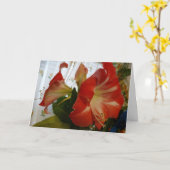 Gottes Gefallen, Stargazer Amaryllis Karte (Gelbe Blume)
