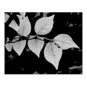 Gottes Handarbeit Gummistempel (Prägung)