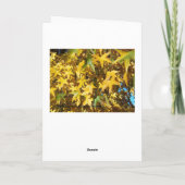 Gottes Herbstglorie Karte (Rückseite)