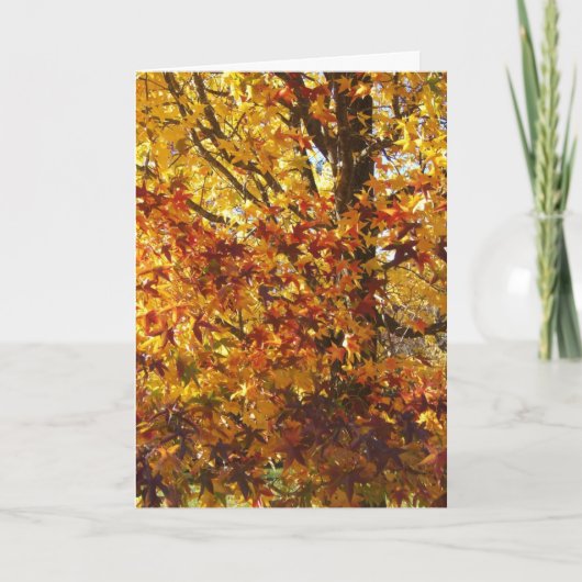 Gottes Herbstglorie Karte (Vorderseite)