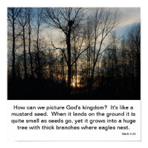 Gottes Königreich Nest