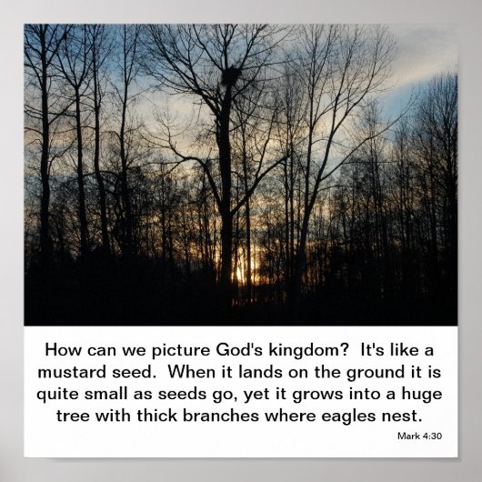 Gottes Königreich Nest Poster (Vorne)