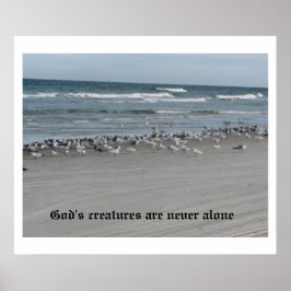 Gottes Kreaturen sind nie allein 24" x 20" Poster