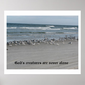 Gottes Kreaturen sind nie allein 24" x 20" Poster