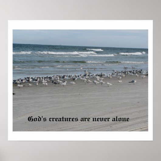 Gottes Kreaturen sind nie allein 24" x 20" Poster (Vorne)