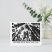 Gottes Liebe Postkarten (Stehend Vorderseite)