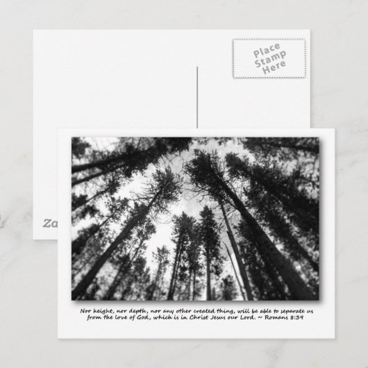 Gottes Liebe Postkarten (Vorne/Hinten)