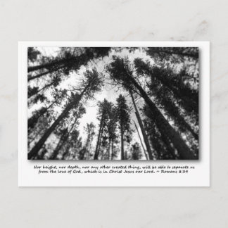 Gottes Liebe Postkarten