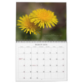 Gottes schöne Welt #4 Kalender (Mär 2026)