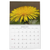 Gottes schöner Welt #7-Kalender Kalender (Mär 2027)