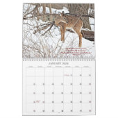 Gottes schöner Welt #7-Kalender Kalender (Jan 2026)