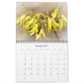 Gottes schöner Weltkalender #6 Kalender (Jan 2027)