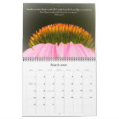 Gottes schöner Weltkalender #6 Kalender (Mär 2026)