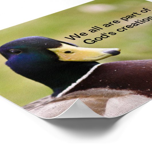 Gottes Schöpferposter Poster (Ecke)