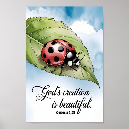 Gottes Schöpfung ist wunderschönes Christliches Ki Poster (Vorne)