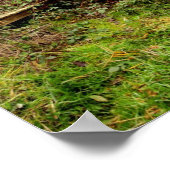 Gottes Tempel II Poster (Ecke)